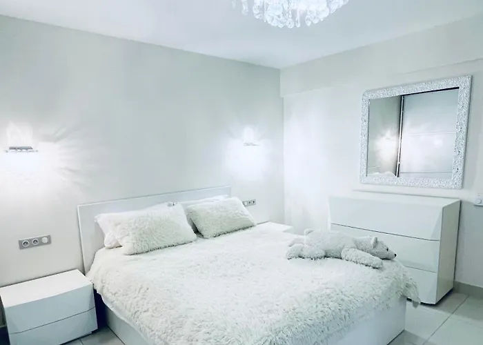 Spacious Apartment In The Center Of Nice Near The Sea